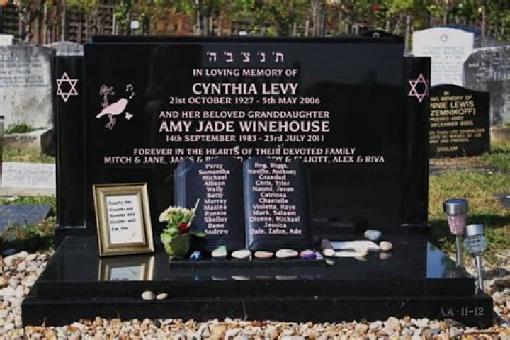 Understanding Cynthia Winehouse's Tragic Cause Of Death